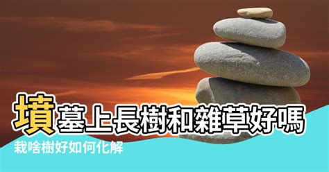 望墳場風水|墳場景化解風水秘訣大公開